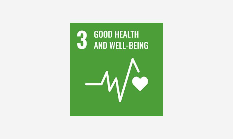 SDG3 icon
