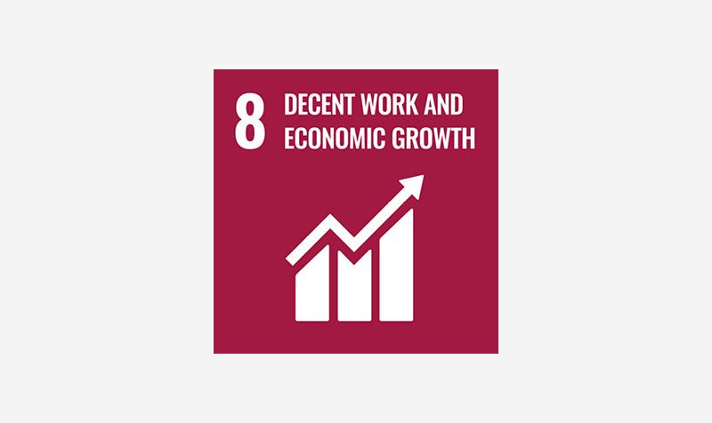 SDG8 icon