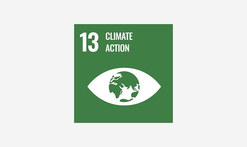 SDG13 icon