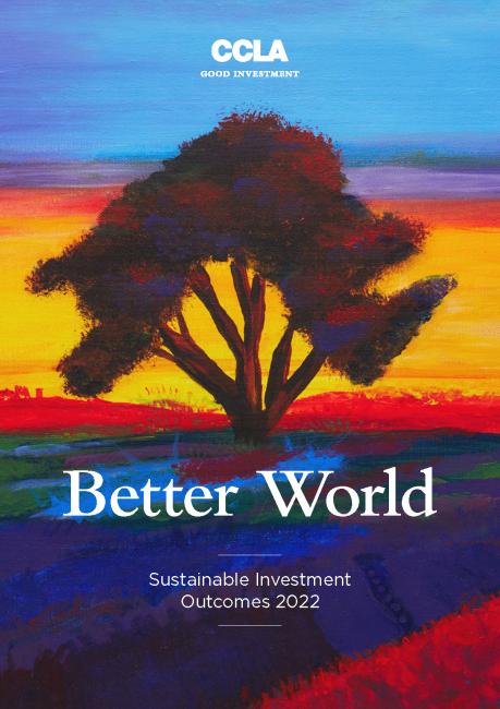 Sustainable Investment Outcomes 2022 Report