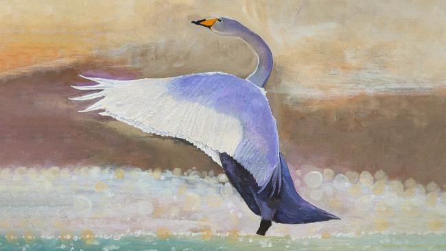Painting of a swan