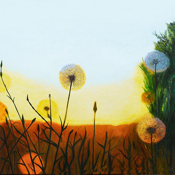 Sun Rise – Koestler Arts