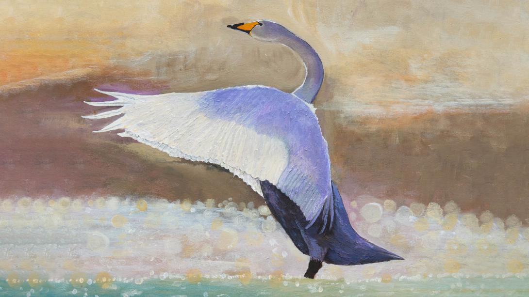 Painting of a swan