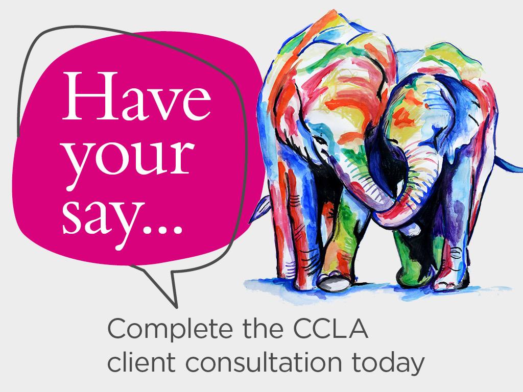 Illustration of elephant and text inviting people to take part in CCLA's 2025 survey